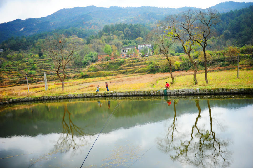 池塘垂钓.jpg
